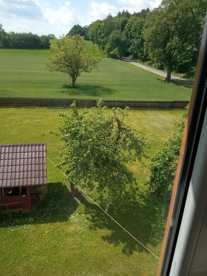 U Zdzicha Baltow